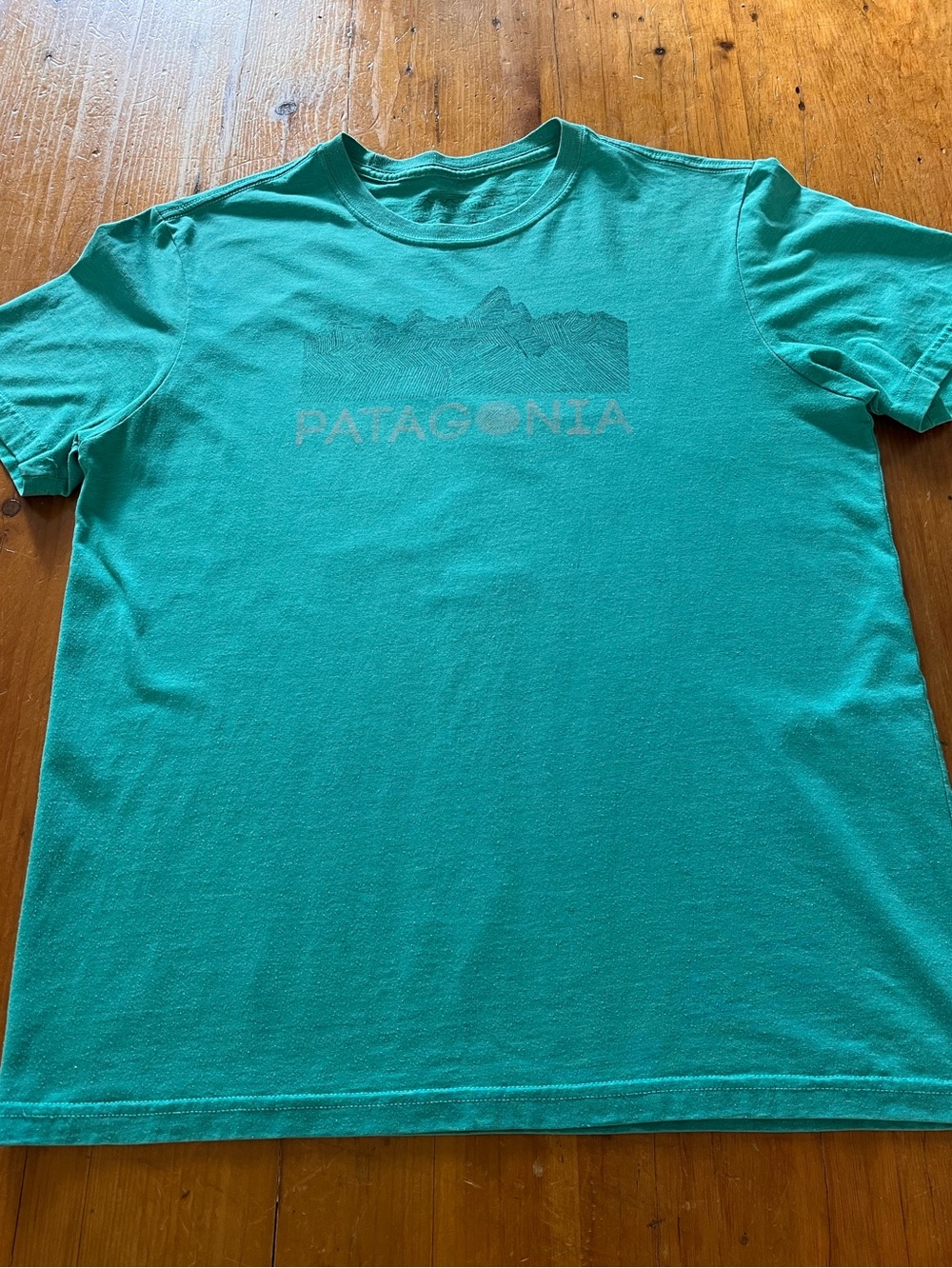 Patagonia Men's Turquoise Logo Short-Sleeve Tee